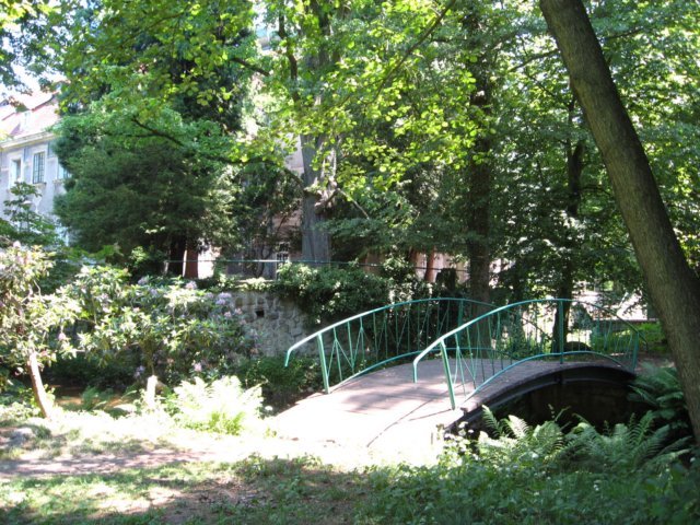 obraz035.jpg