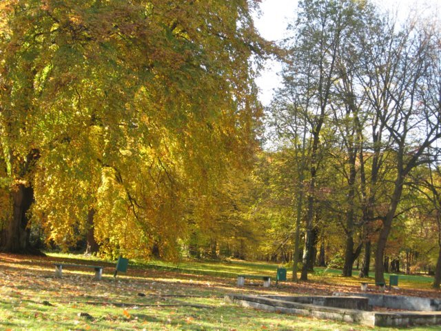 obraz243.jpg
