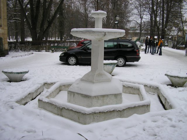 p2242226.jpg