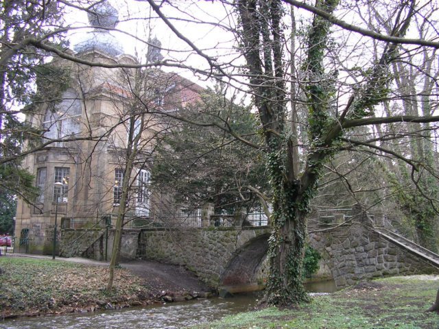 p4112436.jpg