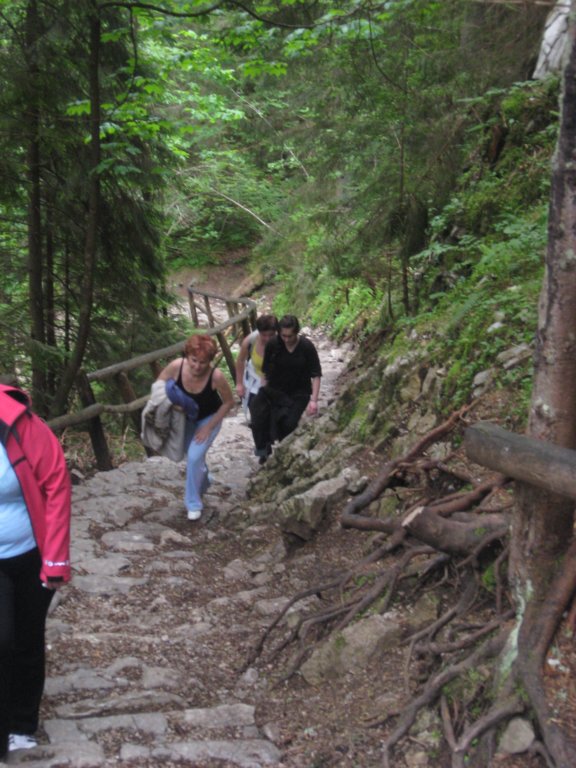 zakopane_13062010_037.jpg