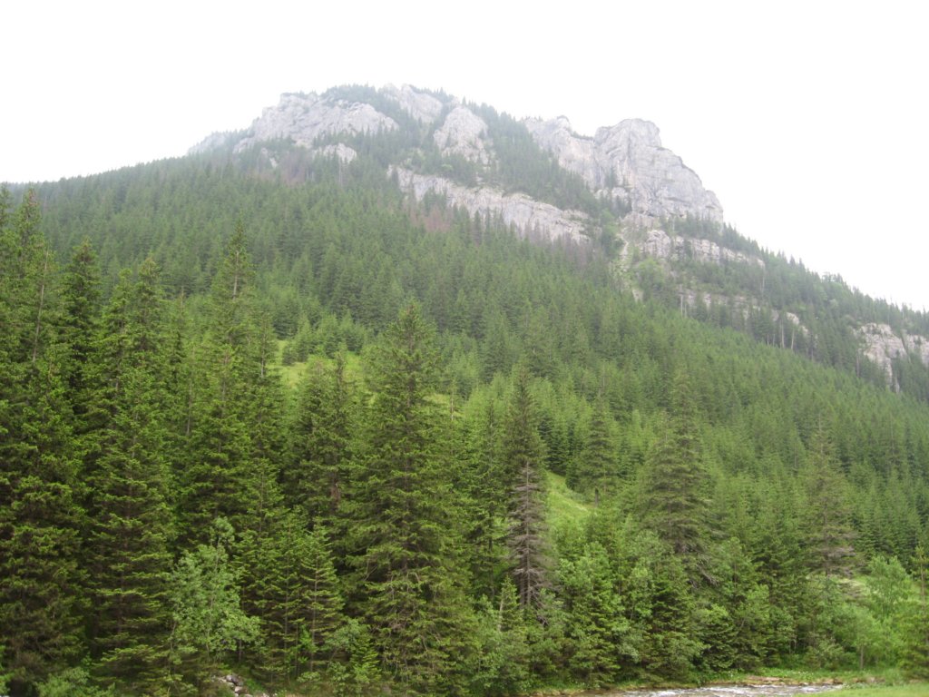 zakopane_13062010_043.jpg