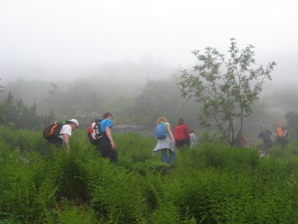 zakopane_15062010_150.jpg