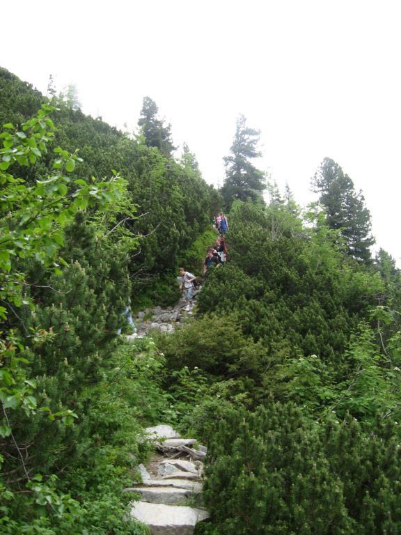 zakopane_15062010_264.jpg